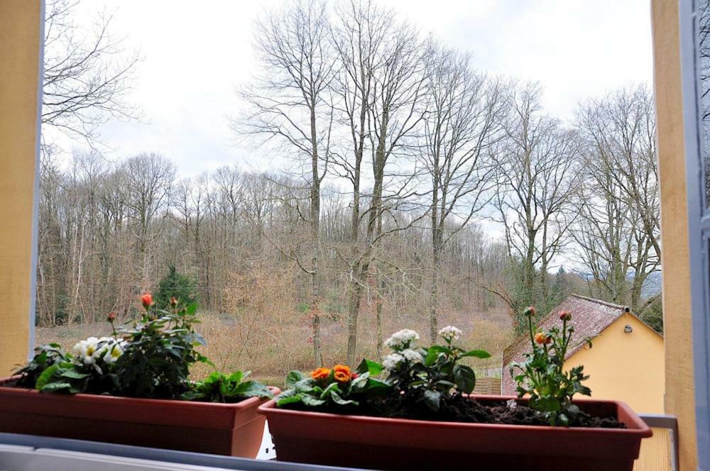Au Jardin De Lisa Cherreau Exterior foto
